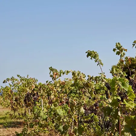 Art Vila Skala (Kefalonia)